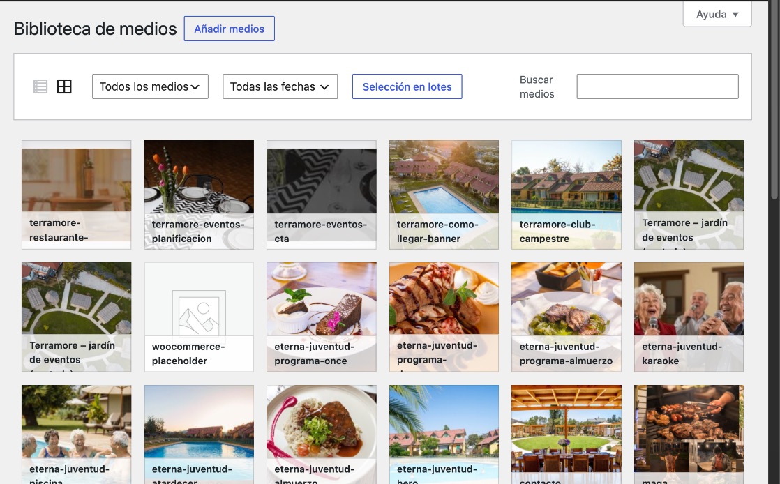 Biblioteca de medios de Terramore en vista de cuadrícula, con fotos del restaurante, eventos, cabañas, piscina y el programa Eterna Juventud.